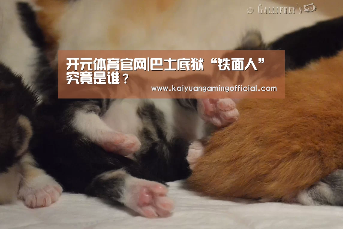 开元体育官网|巴士底狱“铁面人”究竟是谁?(图4) 开元棋牌直播